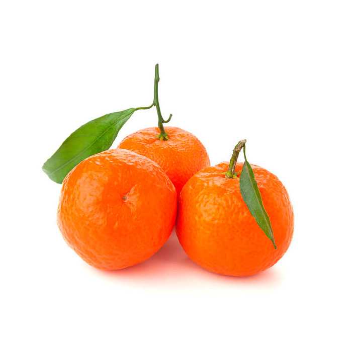 Мандарины Нова